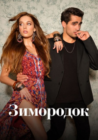 Зимородок 1, 2, 3 сезон смотреть онлайн бесплатно